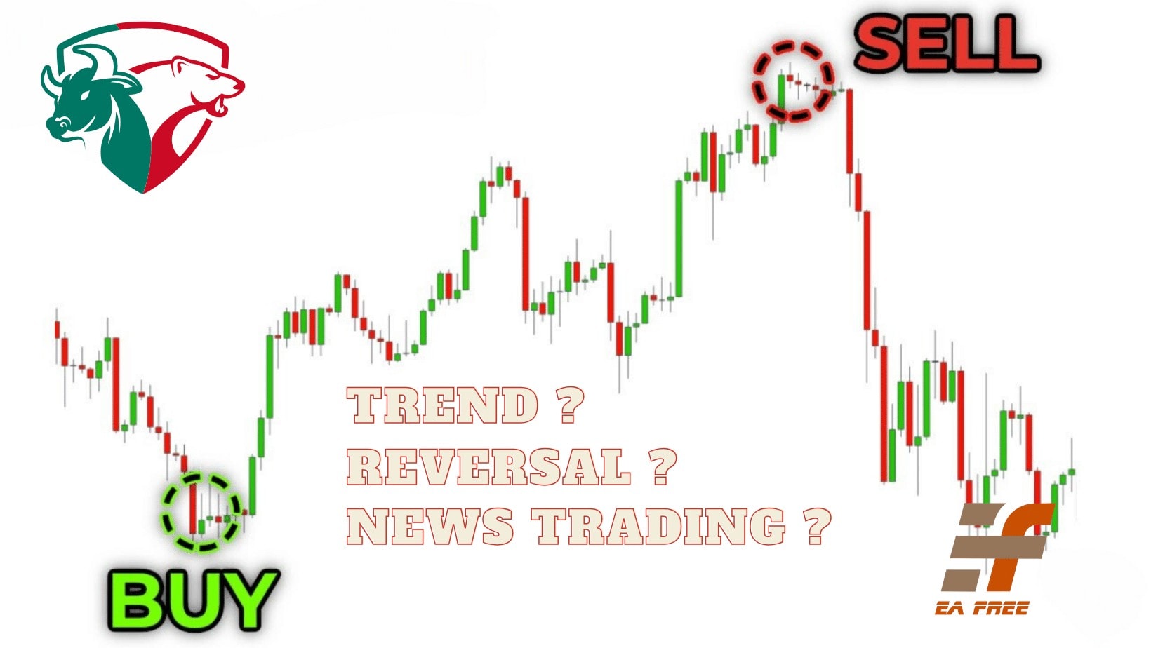The Most Basic Trading Strategies in the Forex Market 2023 - The Most Basic Trading Strategies